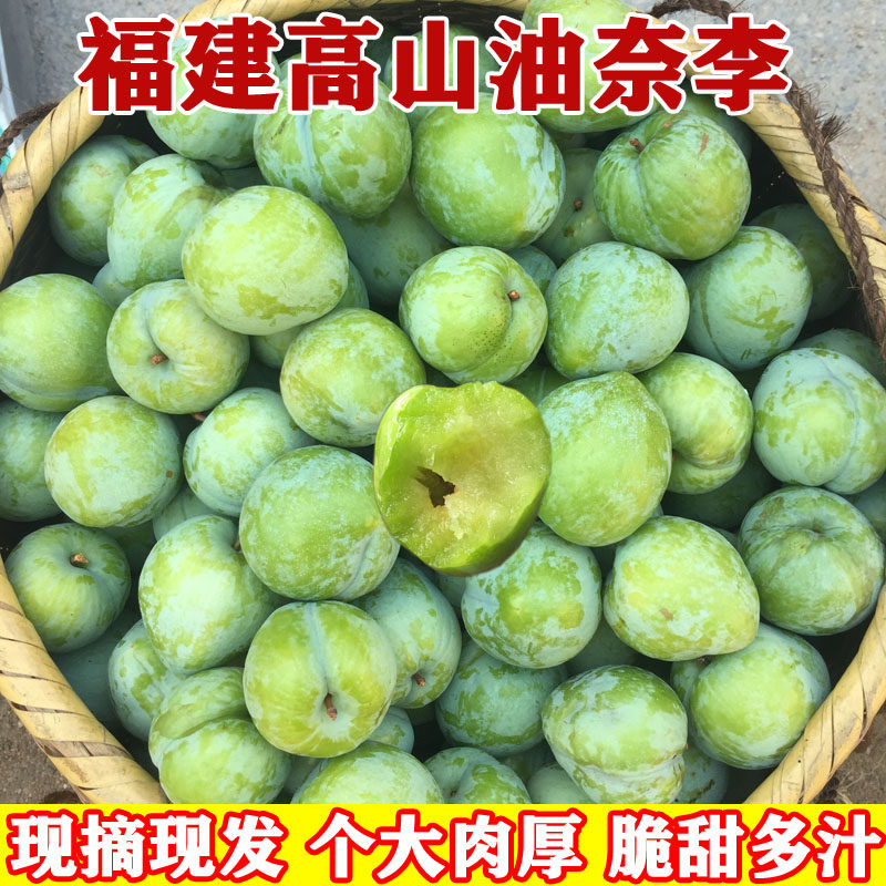 福建高山油奈李新鲜桃形