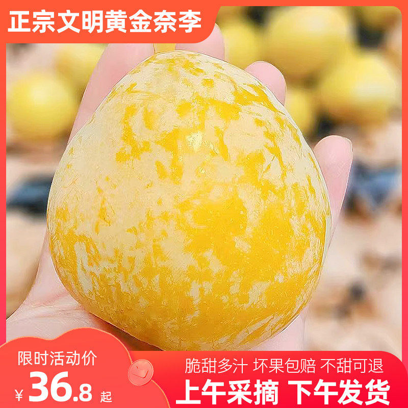 正宗文明黄金奈李子新鲜