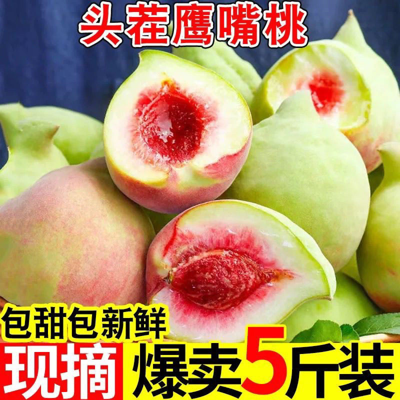 正宗新鲜10斤当季鹰嘴桃