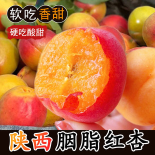 陕西胭脂杏贵妃小红梅杏5斤包邮新鲜应季孕妇水果红肉杏子整箱批