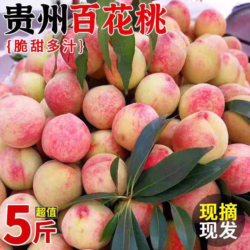 正宗贵州农家血桃白花桃应季孕妇水果毛桃水蜜桃百花桃现摘现发W