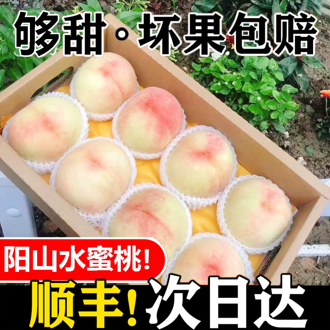 正宗无锡阳山水蜜桃5斤新
