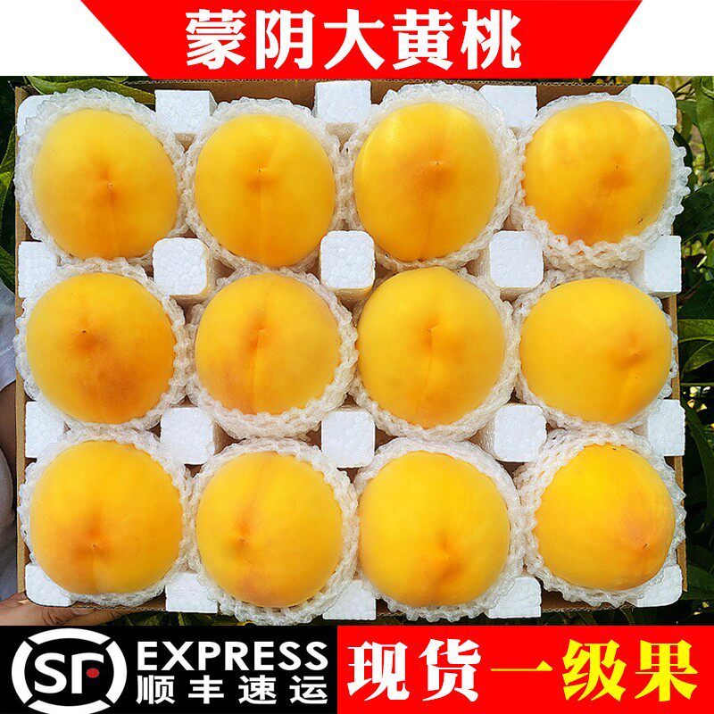 黄桃新鲜水果山东蒙阴现摘炎陵大果锦绣黄金肉蜜应当季整箱黄毛桃