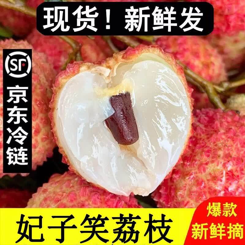 妃子笑荔枝老树精品大果新鲜现摘当季新鲜水果5斤9礼盒团购顺丰