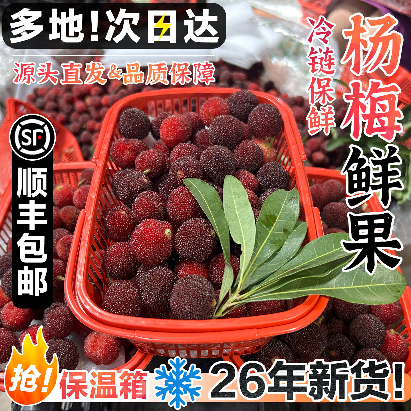 杨梅新鲜现摘现发荸荠杨梅鲜果顺丰包邮泡酒生吃水果非仙居东魁