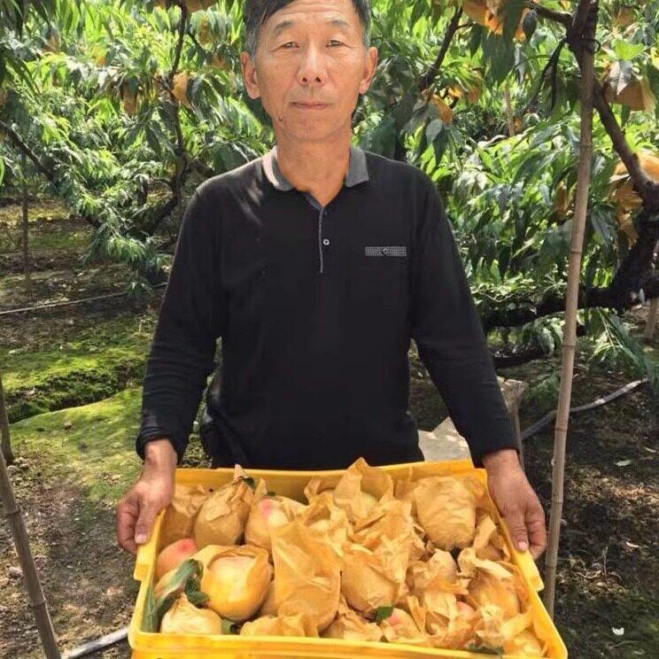 正宗无锡阳山水蜜桃新鲜