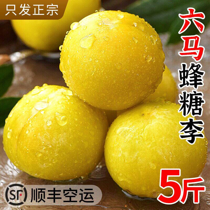 贵州蜂糖李子果桃花蜂蜜