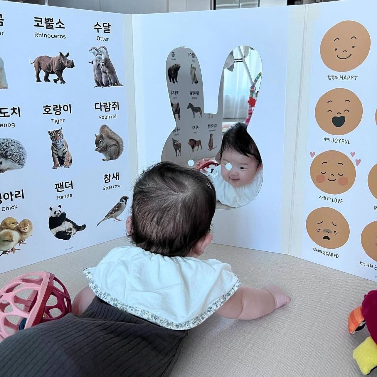 认知屏风韩国ins立式认知卡屏风婴儿童游戏围栏数字动物宝宝早教
