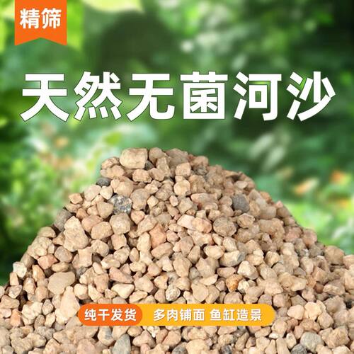 养花专用粗河沙天然河沙细黄沙子河砂建筑工地装修专用砂砂鹅卵石