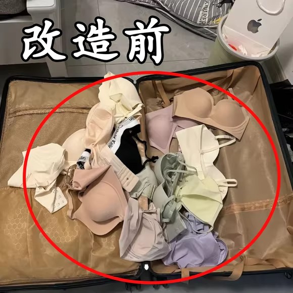 熊猫分格挂袋内衣内裤收纳神器出租房家用宿舍衣柜内装浴缸置物架