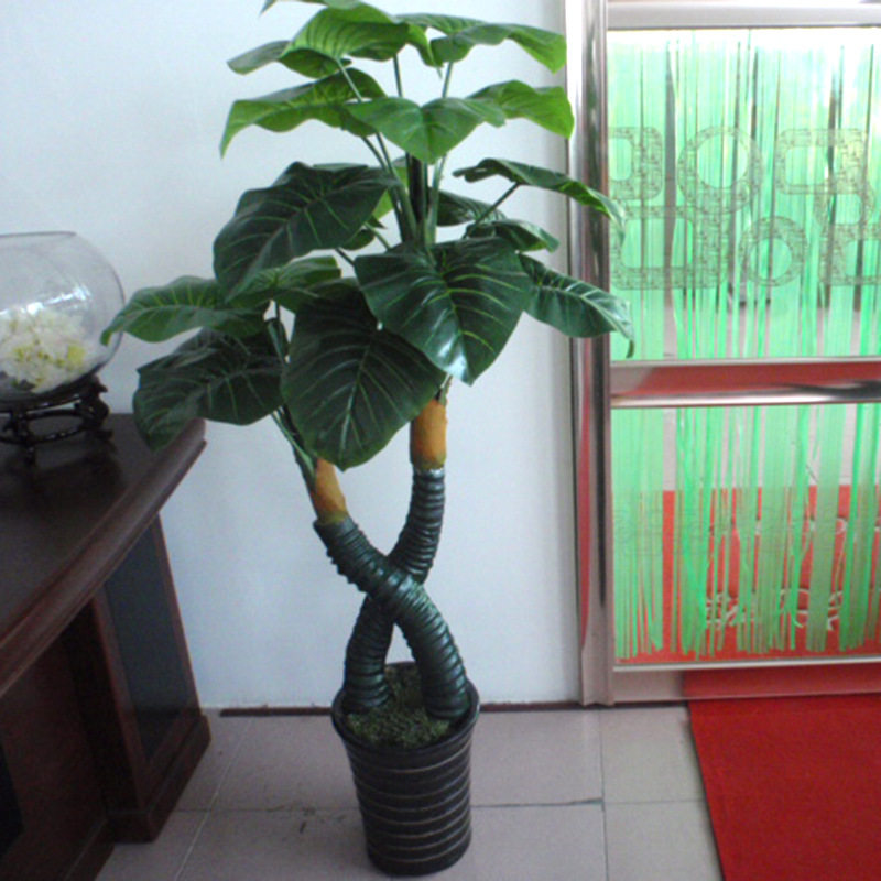 厂家仿真植物滴水观音树仿真绿植居家装饰绿植新