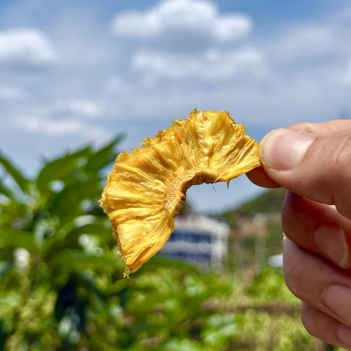 原味菠萝干厚切凤梨片零食非果脯未添加蔗糖新鲜解馋无籽果干果茶