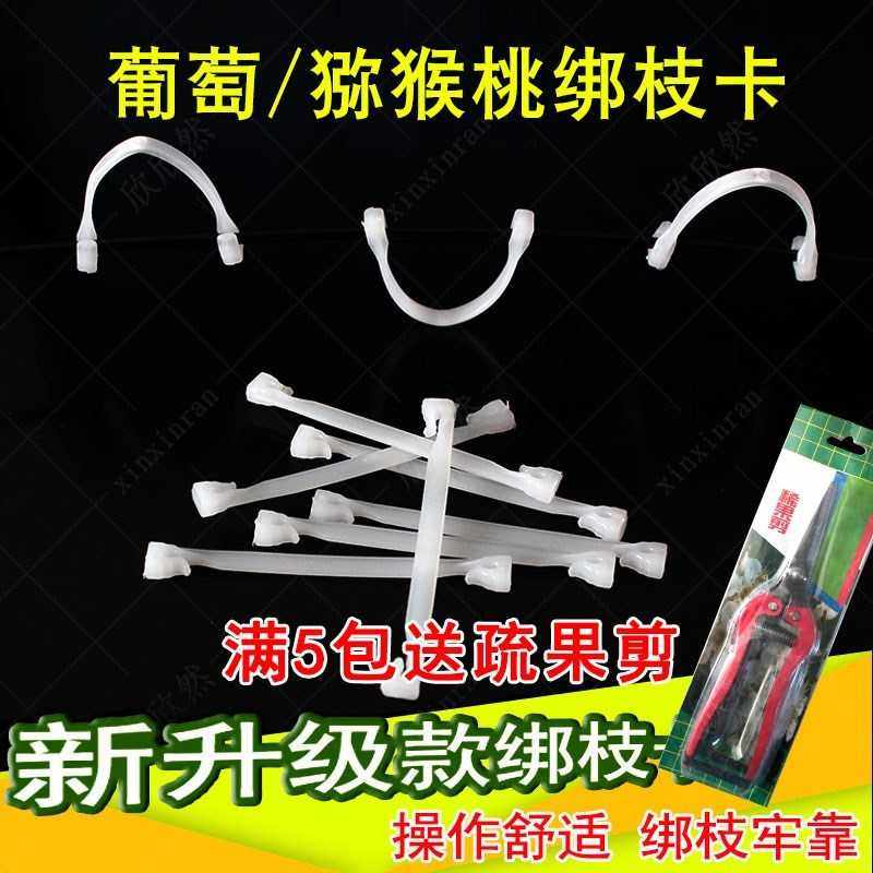 葡萄绑枝卡 绑蔓梆帮枝卡夹子卡扣果树挂钩耐用葡萄卡子|ruв категории доставка цветов/цветок моделирования/растения садоводства, садовых принадлежностей, других садовых принадлежностей - от Buy2taobao.com для оказания профессиональной услуги покупки агента Taobao