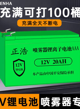 德国进口12v锂电池电动喷雾器农用电动打药机大容量锂电池音响儿