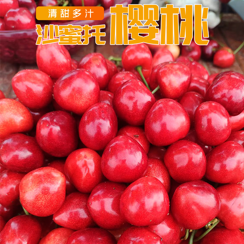 【顺丰/JD】大连沙蜜托樱桃国产大樱桃新鲜水果应当季水果