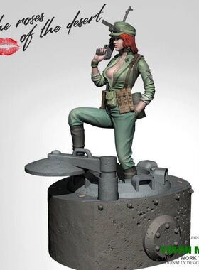1/35YUFAN原创 树脂兵人 沙漠玫瑰  白膜拼装模型YFWW-2195