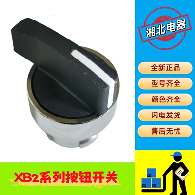 ZB2-BJ2C二档长柄自锁旋钮开关