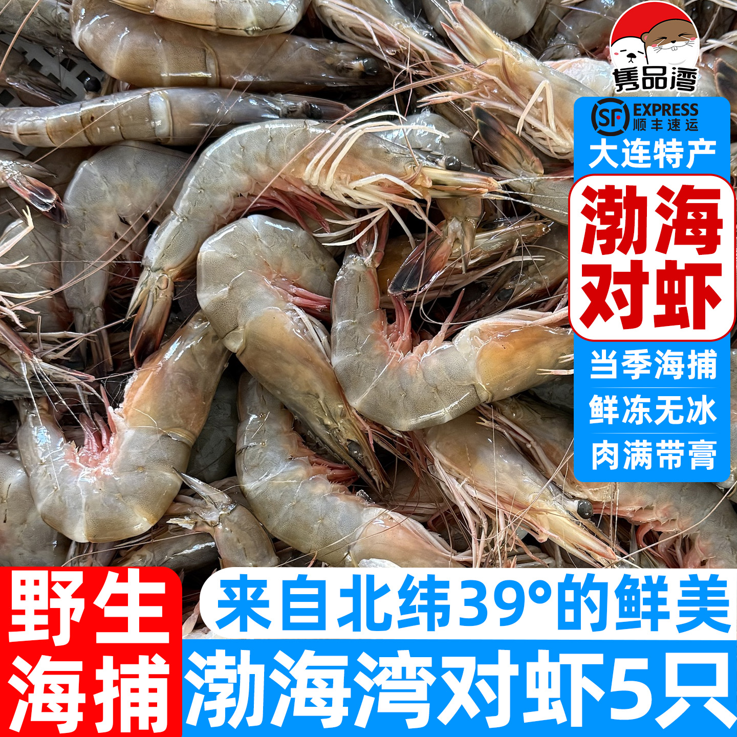 大连渤海湾大对虾6只装