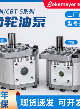 厂家直销CBT-F532齿轮泵 液压铸铝电动齿轮泵 微型液压齿轮泵