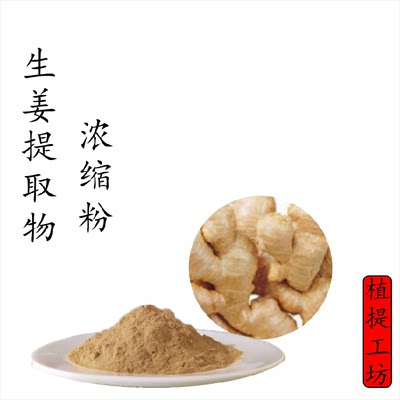 生姜提取物 姜根浓缩粉 另售大枣竹沥竹茹枇杷叶 满79包邮 新货