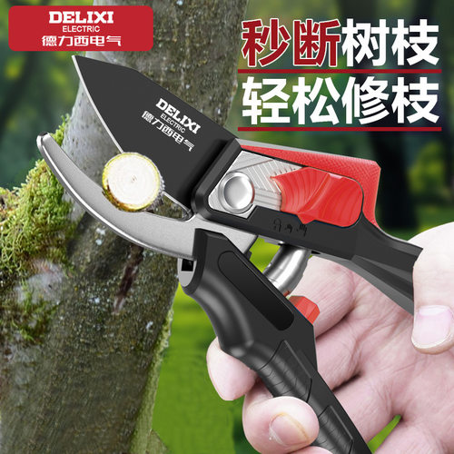 德力西电气园艺剪刀修枝剪果树花艺剪园林粗树枝花卉嫁接专用剪刀 - 封面