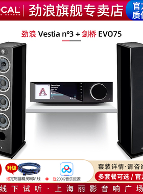 【官方专卖店】法国劲浪Focal Vestia N3+剑桥EVO75 落地音箱套装
