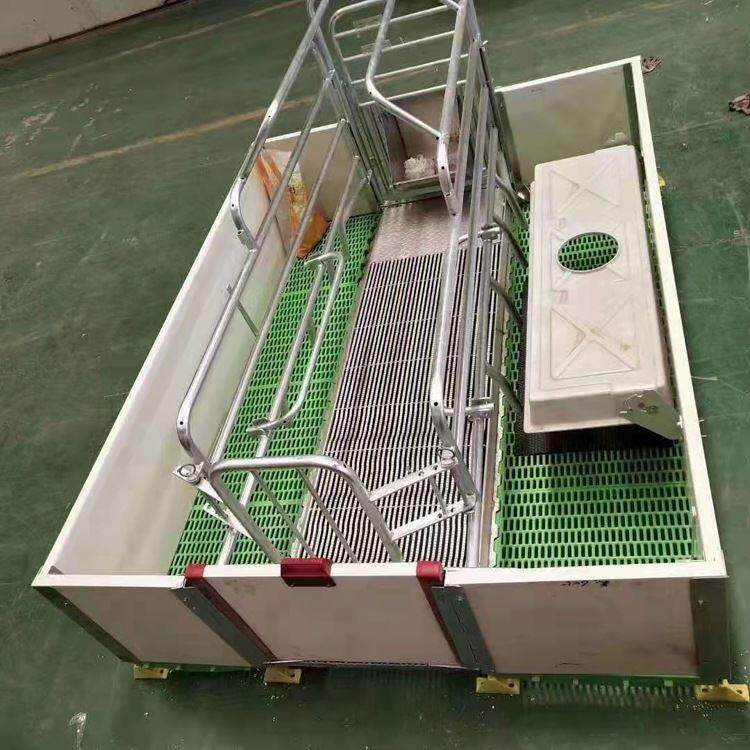 全复合产床 加厚欧式母猪产床 双体复合产仔床