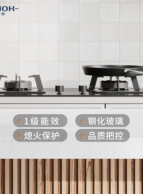富士帝台嵌两用燃气灶 家用大火力嵌入式双灶具JZT-FH210简约造型