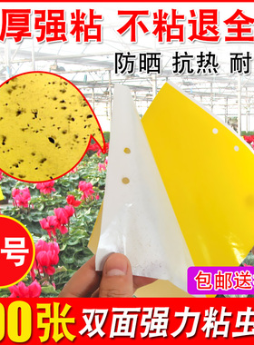 粘虫板黄板诱虫板纸贴双面黄色沾黏蚊子杀黑虫胶灭小飞虫果蝇大棚