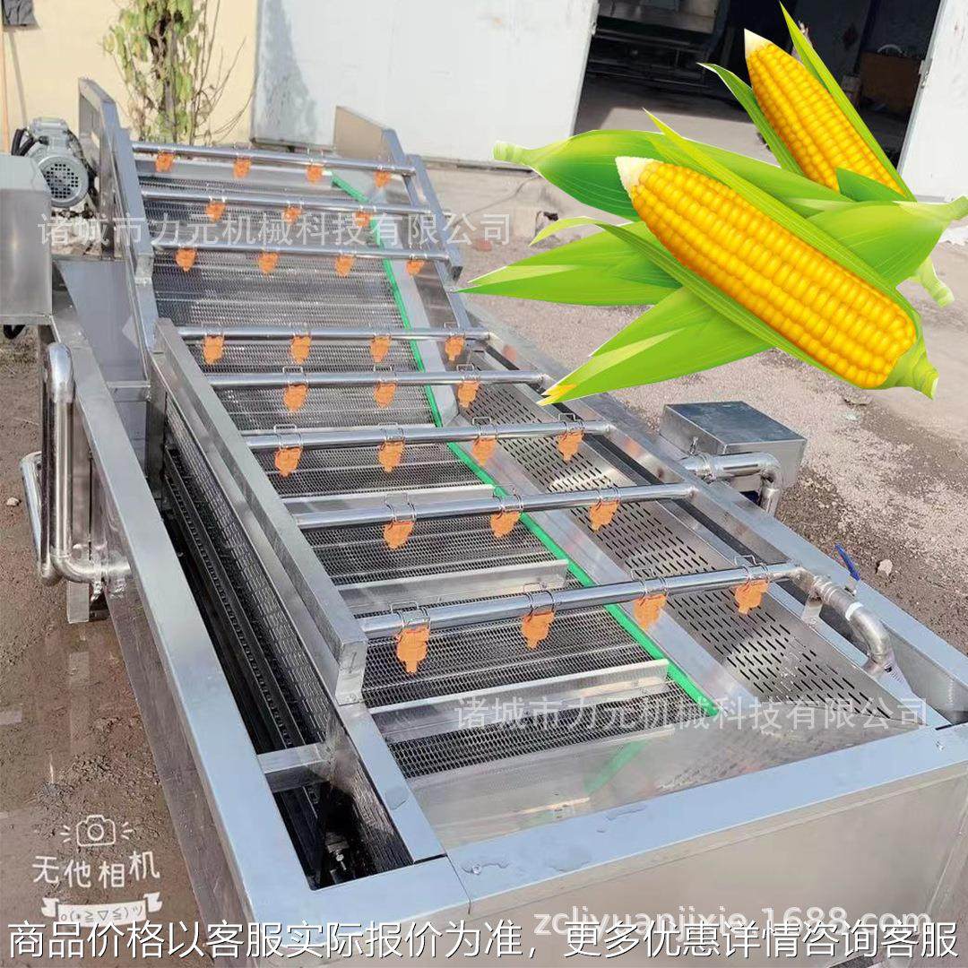 大型鼓泡清洗机 玉米大姜果蔬深加工设备 全自动不锈钢春笋清洗机,清洗/食品/商业设备,果蔬加工设备,淘宝优惠券,粉丝福利购,淘宝优惠卷