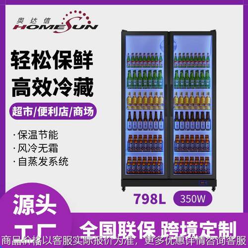 Homesun啤酒饮料柜商用单双门立式饮料冷藏展示柜便利店超市冷柜