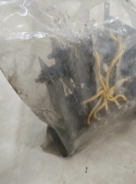 船用模块6M4M100C(请询价)