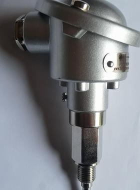 热测温度传感器,PT100,THERMOTRON-CE,探头(请询价)