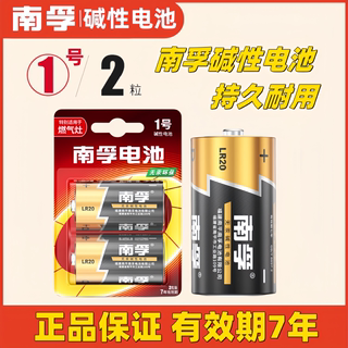 南孚LR20碱性1号电池燃气灶热水器煤气灶天然气灶1.5V一号干电池