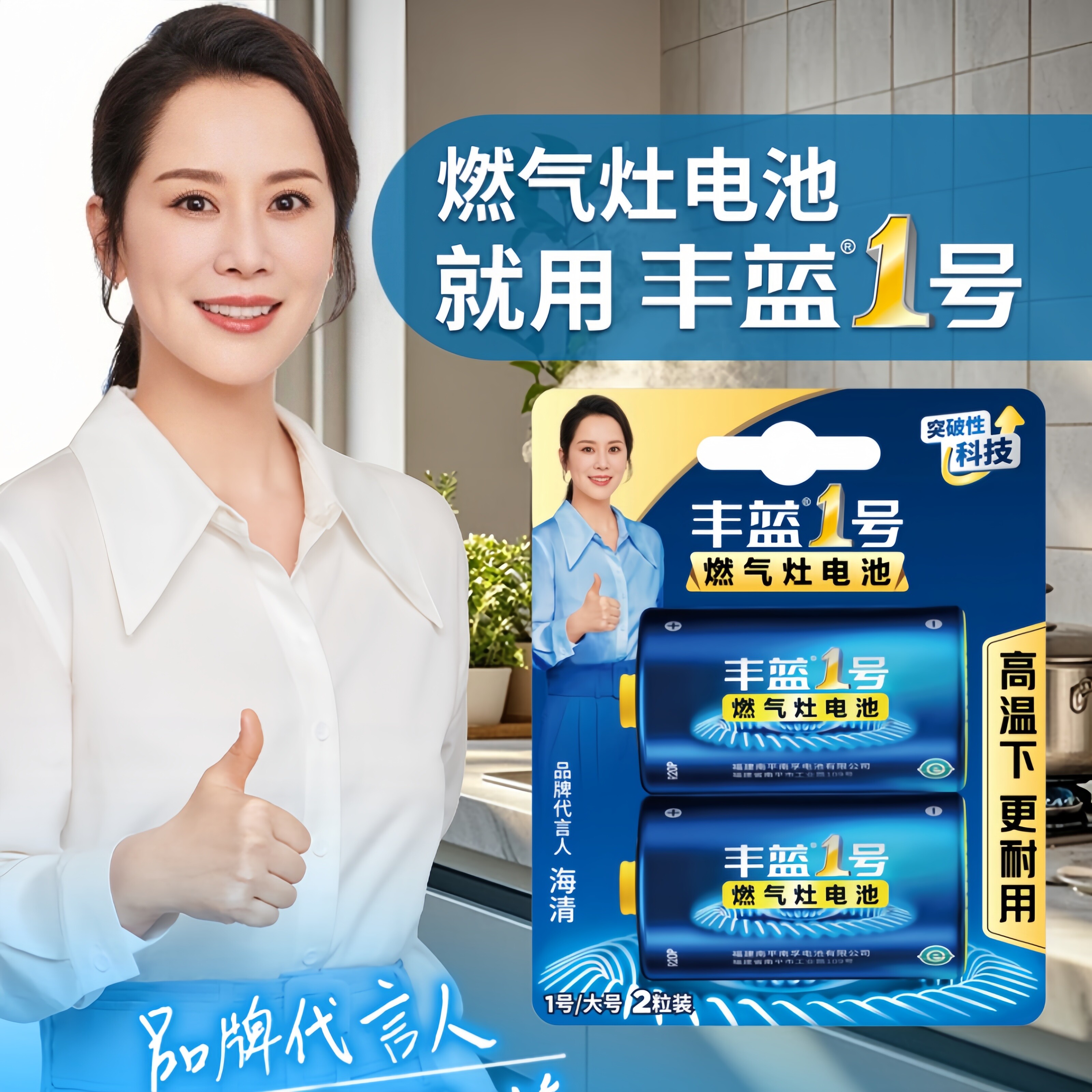 南孚丰蓝1号电池小黄帽燃气灶电池大号热水器电池煤气灶一号干电池手电筒天然气灶碳性电池家用