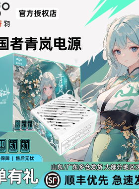 爱国者青岚EK750W金牌全模组电脑电源主机额定650W电源星璨EV850W