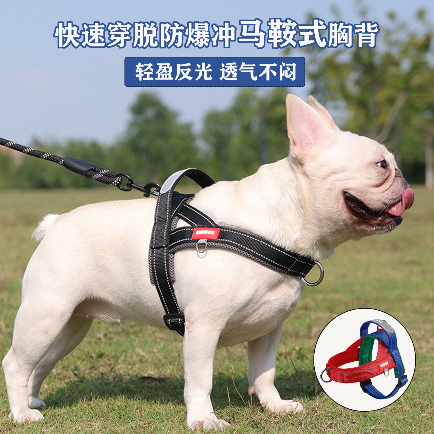 2025新款小狗狗胸背带高颜值夏天外出柯基柴犬专用牵引绳中型幼犬