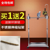 鹦鹉站架大型鹦鹉站架站架小中大型鹦鹉站架鸟用品 包邮