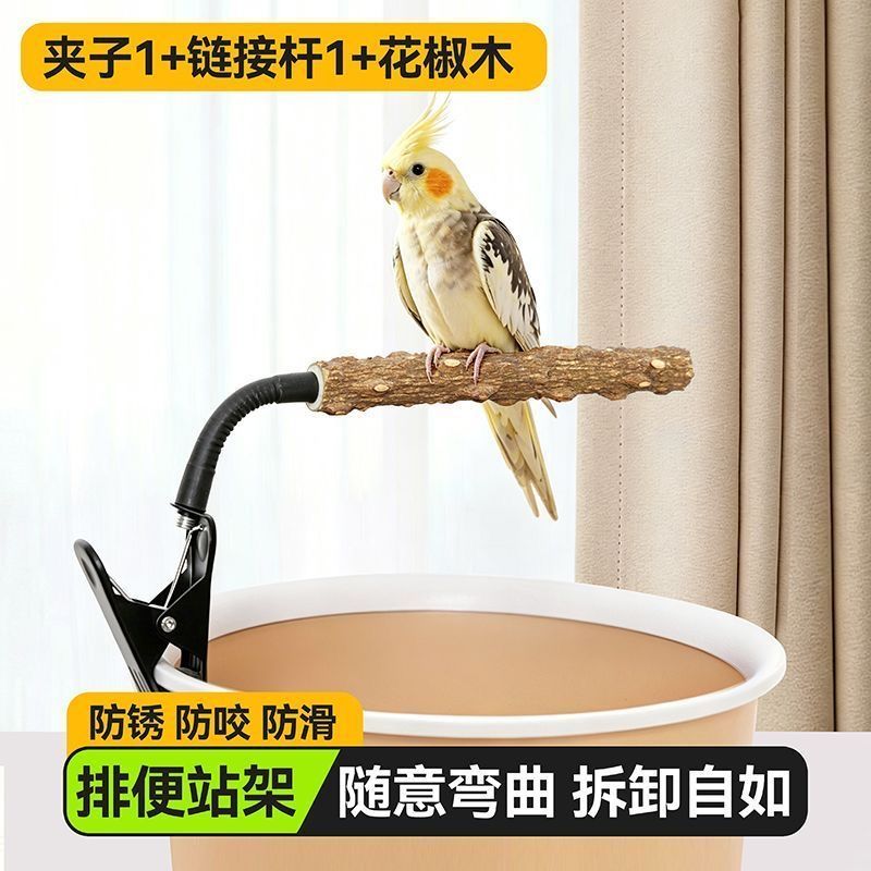 夹子站架垃圾桶站棍站杆鹦鹉虎皮牡丹玄凤小太阳站架图片