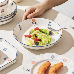 菜盘餐盘特别好看 顺祥陶瓷盘子家用新款 早餐盘高颜值釉下彩餐具