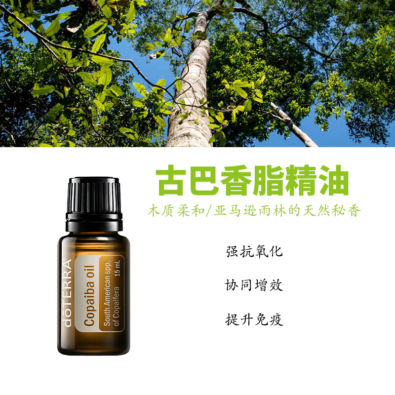 多特瑞古巴香脂精油官网正品