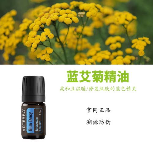 多特瑞蓝艾菊精油官网正品