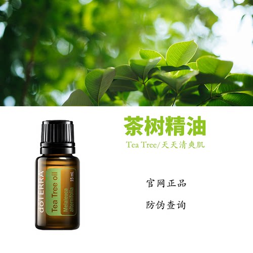 多特瑞茶树精油官网正品顺丰包邮