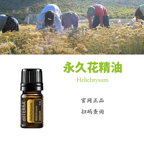 多特瑞永久花精油官网正品