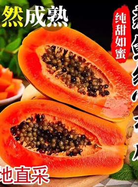 广西牛奶冰糖红心木瓜9斤装新鲜采摘产地直发当季水果软嫩多汁