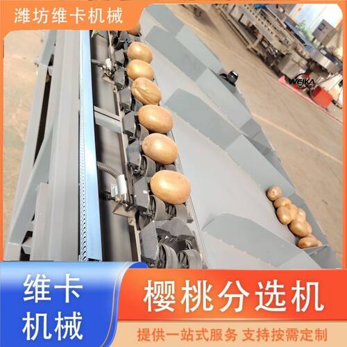 水果重量分拣机 牛油果柠檬百香果称重剔除分拣机 全自动分选机