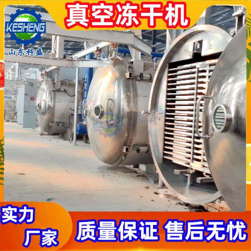 冻干机 汤料包蘑菇真空冻干机 彩虹糖糖果真空冷冻干燥机
