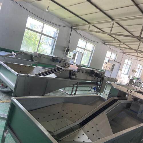 小型单排鸭蛋鸡蛋洗蛋机 科瑞泰定制生产商用蛋品清洗流水线