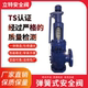 厂家 A48SH 立特 带散热器高温 高压安全阀 16C 弹簧全启式
