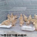 兔笼加粗加密鸡笼子大鸡20只笼兔笼子特大号运输笼镀锌网片